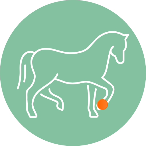 DISPOSITIF BAGGING A L'OZONE