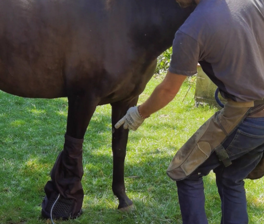 La Prévention Avant Tout: Clés Naturelles et Observations Astucieuses pour le Bien-être des Sabots de Votre Cheval