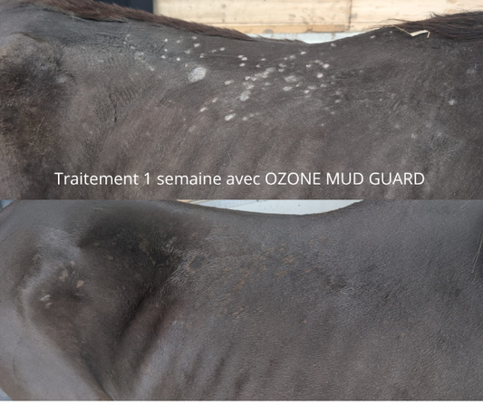 Soin dermite par l'ozone