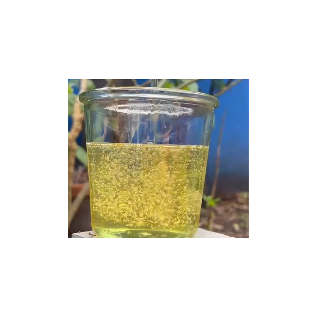 Mécanismes d'action thérapeutique de l'ozone pour les soins naturels du cheval