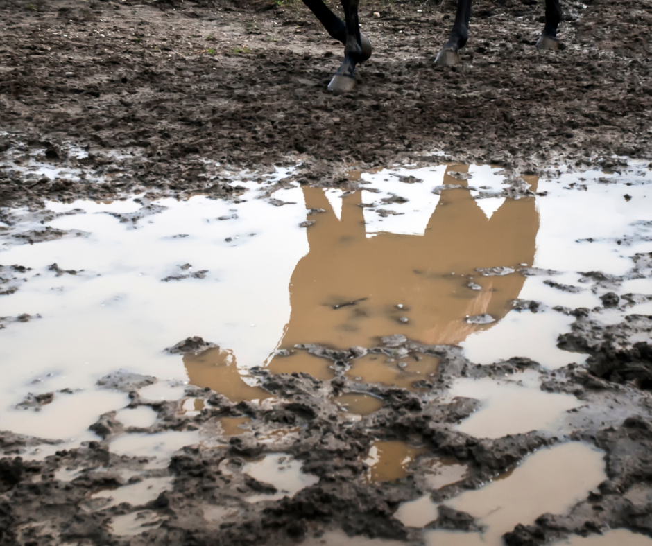 Entretien sabot vie extérieure