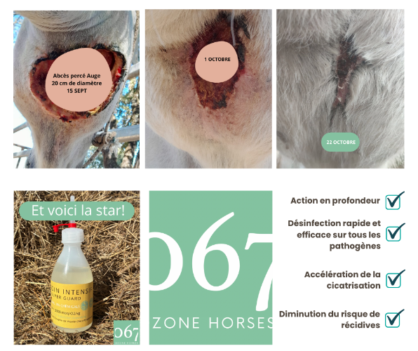 Rápida curación de un absceso gracias al ozono