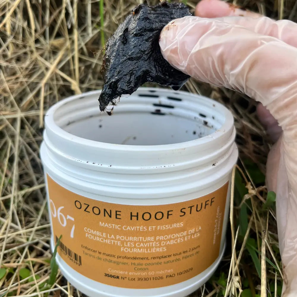 Hoof Stuff: The essential hoof putty… in an ozonated version!