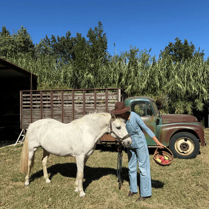 Soins pour chevaux à base de produits naturels cheval | 0-6-7