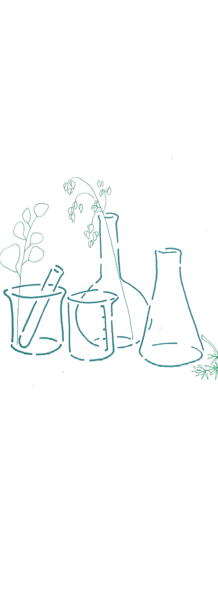 Produits naturels pour animaux | Soins animaux à l'ozone