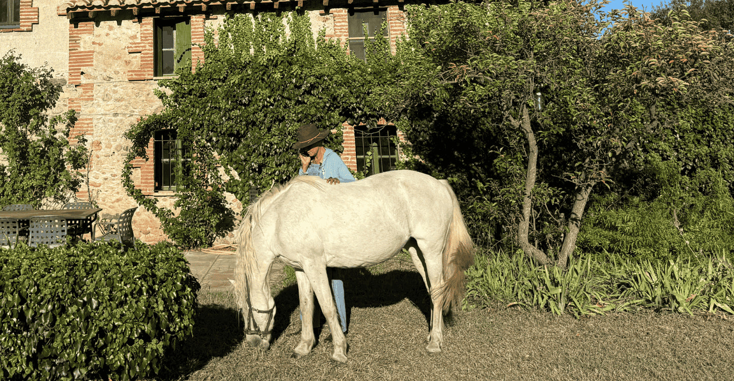 Actualités de la marque 067 Soins naturels pour animaux à base d'ozone