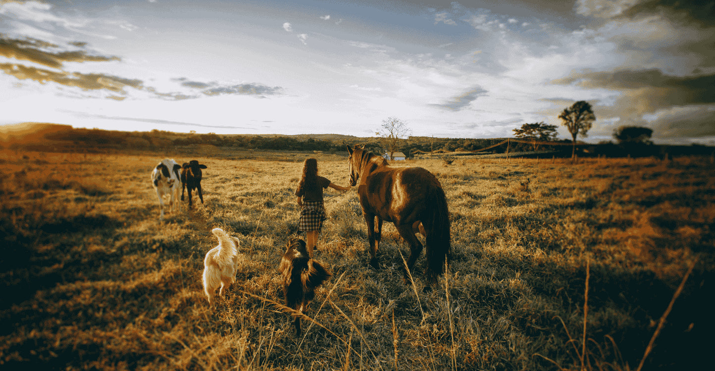 Soins naturels pour animaux 067