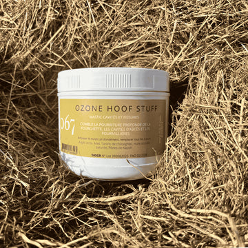 Produits naturels cheval àl'ozone : Ozone hoof Stuff |Mastic cavités et fissures pour sabot de la marque 067