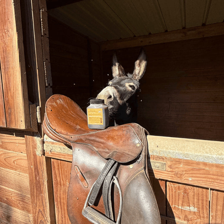 067 soins naturels animaux à l'ozone