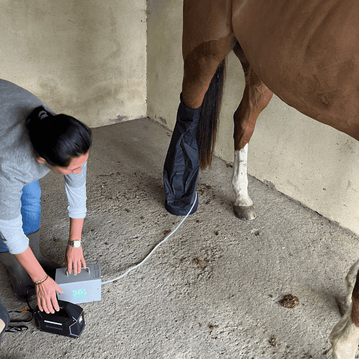 Bagging 067, traitement à l'ozone pour animaux