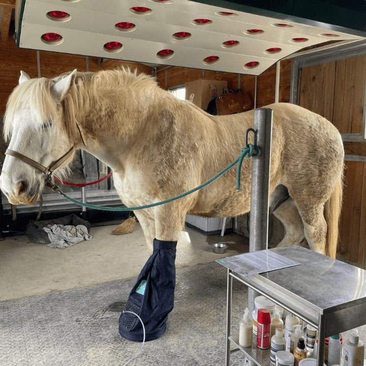 soins naturels à l'ozone avec le bagging 067