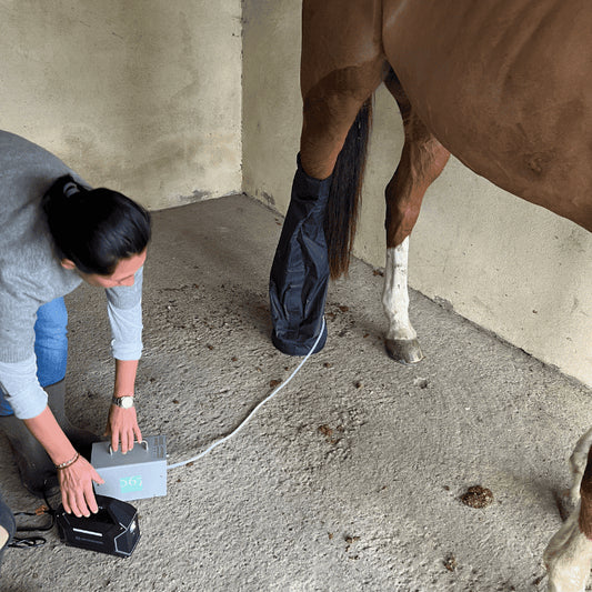 Mise en place du bagging ozone  067