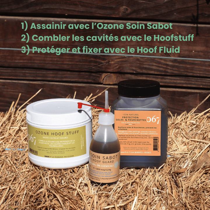 Pack traitement à l'ozone