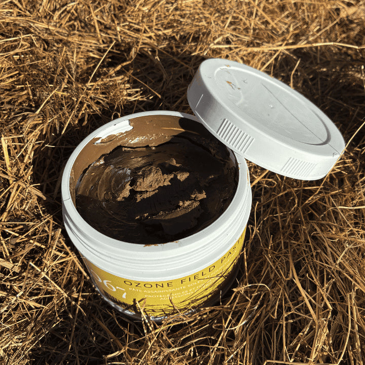 Ozone field paste pour cheval