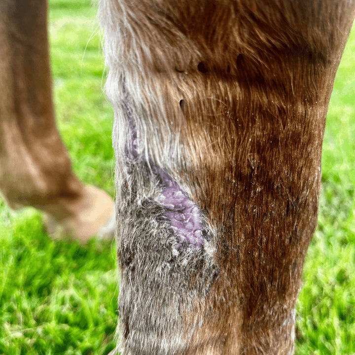 Produit ozone super guard après traitement