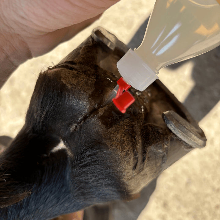 Produit de soin ozone sabot avant traitement