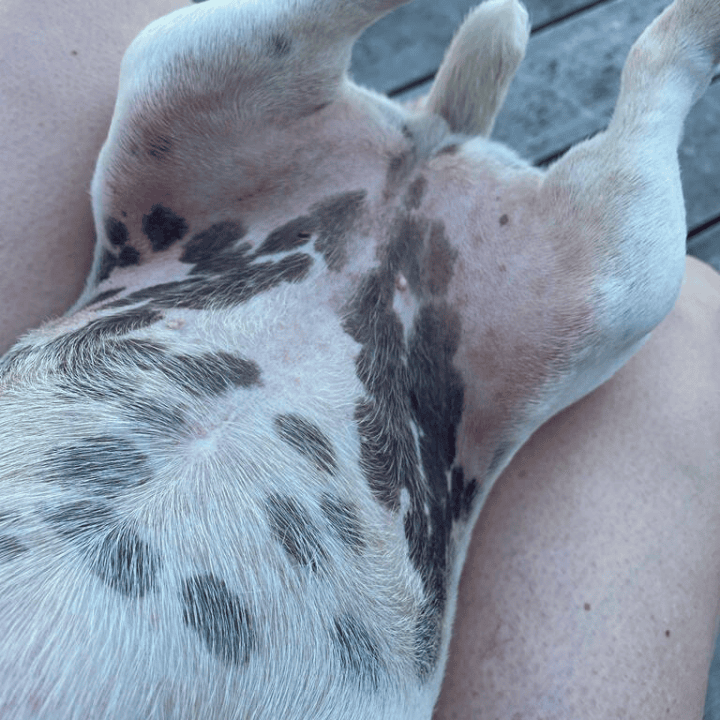 Produit soin apaisant après traitement