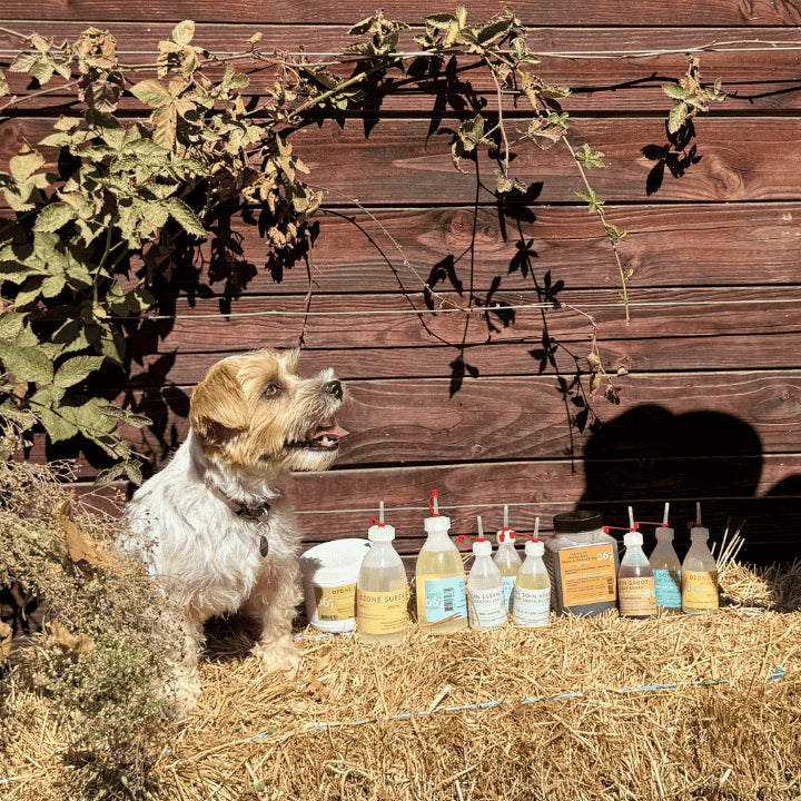 Soins pour animaux 067 à base de Produits naturels pour animaux.